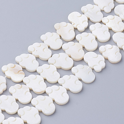 Морская Ракушка Натуральный белый бусы, перламутровые бусы, облако, цвет морской раковины, 14x20x3 мм, отверстие : 1 мм