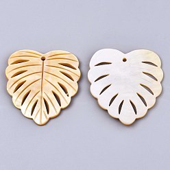 Yellow Shell Natural Yellow Shell Pendants, Tropical Leaf Charms, Monstera Leaf, 42~43x39x2.5mm, Hole: 2mm