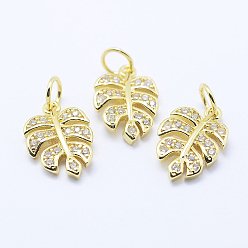 Golden Brass Micro Pave Cubic Zirconia Charms, Tropical Leaf Charms, Monstera Leaf, Lead Free & Nickel Free & Cadmium Free, Golden, 14x9.5x2mm, Hole: 3mm