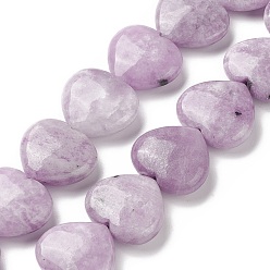 Lepidolite Natural Lepidolite/Purple Mica Stone Beads Strands, Heart, 24~26x28~28.5x9~12mm, Hole: 1.5mm, about 15pcs/strand, 15.04~15.55 inch(38.2~39.5cm)