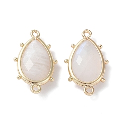 Moonstone Natural Moonstone Connector Charms, with Golden Plated Brass Edge Loops, Faceted, Teardrop, 24x14.5x5mm, Hole: 1.2mm & 1.4mm