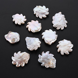 Coquillage De Mer Perles de perles keshi naturelles, perle de culture d'eau douce, pas de trous / non percés, roue chaude, couleur de coquillage, 23~31x20~24x5~8mm