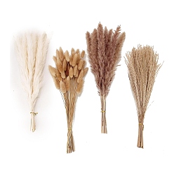 Mixed Color Mini Dried Pampas Grass, Dried Flowers Reed Grass Bouquet for Wedding Party Home Table Decoration, Mixed Color, 600~700mm, 100pcs/set