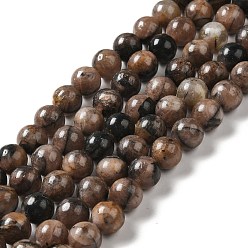 Chiastolite Нити из натуральных киастолитовых бусин, круглые, 10 мм, отверстие : 1.2~1.4 мм, около 40 шт / нитка, 15.75 дюйм (40 см)