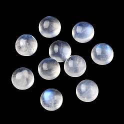 Rainbow Moonstone Кабошоны из натурального радужного лунного камня, полукруглый, 6x3.5 мм