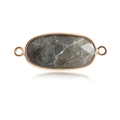 Labradorite Natural Labradorite Connector Charms, with Golden Tone Brass Edge, Faceted, Oval Links, 22x12mm