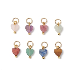 Смешанные камни Натуральные подвески в форме сердца из смешанных драгоценных камней, с 304 фурнитурой из нержавеющей стали, смешанные окрашенные и неокрашенные, золотые, 10x6x2.5 мм, Перейти кольцо: 5x0.8 мм, внутренний диаметр: 3.2 мм
