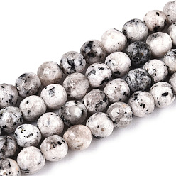 Белый Дым Окрашенные природные белый нефрит бисер пряди, круглые, граненые, серый, 5.5~6.2 мм, отверстие : 1 мм, около 65~66 шт / нитка, 14.76~15.16'' (37.5~38.5 см)