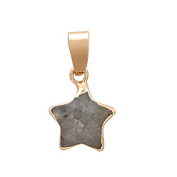 Labradorite Natural Labradorite Faceted Star Charms, with Golden Plated Brass Findings, 13x13mm