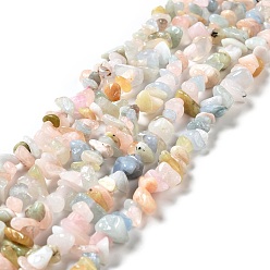 Morganite Natural Morganite Beads Strands, Chips, 5~8x5~8mm, Hole: 0.8mm, 32''(81.28cm)