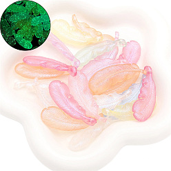 Перо Светящиеся прозрачные акриловые бусины, с блеском порошок, светится в темноте, перо, 45x16 мм, о 10 шт / комплект