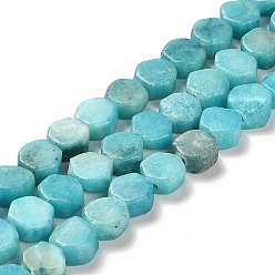 Deep Sky Blue Natural Dolomite Beads Strands, Dyed, Hexagon, Deep Sky Blue, 7x6x3mm, Hole: 1.2mm, about 66pcs/strand, 16.34 inch(41.5cm)