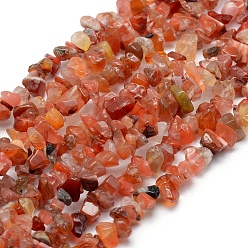 Carnelian Natural Carnelian Beads Strands, Dyed & Heated, Chip, 5~8mm, Hole: 1mm, about 33 inch(84cm)
