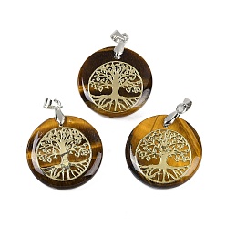 Тигровый глаз Плоские круглые подвески из натурального тигрового глаза, подвески в виде дерева жизни с платиновым покрытием, латунные, с застежкой на дужке, без кадмия и без свинца, 30.5~32x25~25.5x6.5~7.5 мм, отверстие : 4.5x3.5 мм