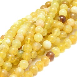 Yellow Opal Natural Yellow Opal Beads Strands, Round, Grade A, 8mm, Hole: 0.8mm, about 50pcs/strand, 15.35 inch(39cm)