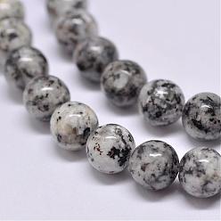 Gray Natural Sesame Jasper/Kiwi Jasper Beads Strands, Round, Gray, 10mm, Hole: 1mm, about 38pcs/strand, 15.5 inch