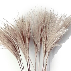 Thistle Mini Dried Grass Bouquet for Wedding Party Home Table Decoration, Thistle, 600mm, 10pcs/bag