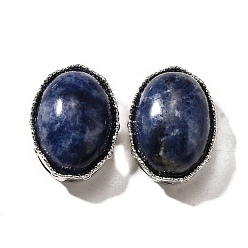 Содалитовое Многожильные звенья природного содалита, овальные, без кадмия и без свинца, платина, 20.5x15.5x10.5 мм, отверстие : 2 мм