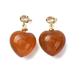 Red Agate Подвеска в форме сердца из натурального красного агата., с медными застежками, золотые, 24.5~25.5 мм, отверстие : 3 мм