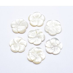 Coquille Cabochons coquille, fleur, 38~40x3.5~4mm