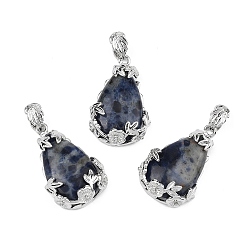 Содалитовое Природные подвески содалитом, с латунной фурнитурой , капля, платина, 31x19x8 мм, отверстие : 4.5x8 мм