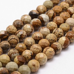 Picture Jasper Natural Picture Jasper Beads Strands, Faceted, Round, 10mm, Hole: 1mm, about 37pcs/strand, 14.9 inch~15.1 inch