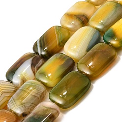 (932FM) Темно-синий аква-матовый с подкладкой Натуральные полосатые агатовые / полосатые агатовые бусинки, окрашенная и подогревом, прямоугольные, темно-золотистые, 18~18.5x13~13.5x5~6 мм, отверстие : 1.5 мм, около 22 шт / нитка, 15.63'' (39.7 см)