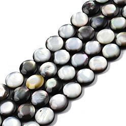 Black Lip Shell Natural Black Lip Shell Beads Strands, Flat Round, 10x4mm, Hole: 1mm, about 40pcs/strand, 16.06 inch(40.8cm)