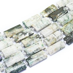 Tree Agate Natural Tree Agate Beads Strands, Rectangle, Faceted, 27~29x13~14x6~7mm, Hole: 1.5mm, about 12pcs/Strand, 14.96 inch(38cm)