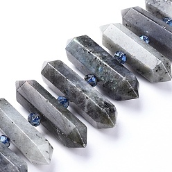 Labradorite Chapelets de perles labradorite naturelle , perles de verre, facette, point double terminé, 25~45x10~13x10~13mm, Trou: 1.8mm, Environ 26 pcs/chapelet, 15.75 pouce (40 cm).