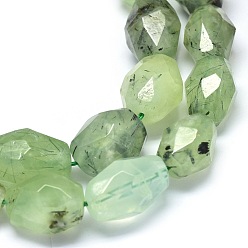 Prehnite Natural Prehnite Beads Strands, Faceted, Drum, 16~21x13~15mm, Hole: 1.2mm, about  20~22pcs/strand, 15.3 inch