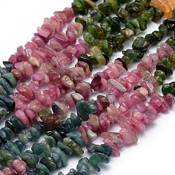 Tourmaline Natural Tourmaline Beads Strands, Chip, 5~7mm, Hole: 0.8mm, about 15~16 inch(38~40.6cm)