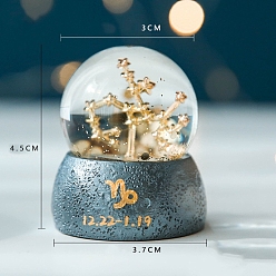 Capricorn Zodiac Gifts, Constellations Snow Globe, Crystal Sphere House Gifts Desktop Decor, Crystal Ball Birthday Present with Base, Capricorn, 45x30x37mm