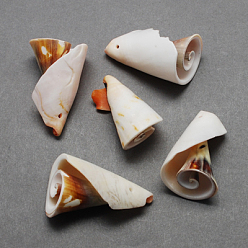 Chocolate Spiral Shell Pendants, Shell, Chocolate, 26~55x10~30x10~30mm, Hole: 1~2mm