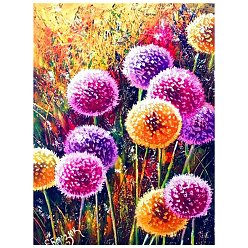 Colorful Dandelion Diamond Painting Kits, Including Acrylic Board, Resin Rhinestones Bag, Diamond Sticky Pen, Tray Plate and Glue Clay, Rubbing Board, Tweezers, Colorful, 400x300mm