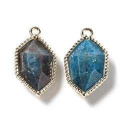 Apatite Natural Apatite Pendants, Faceted Hexagon Charms with Rack Plating Golden Plated Brass Edge Loops, 22.5x13x6.5~7mm, Hole: 1.5~1.6mm