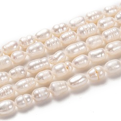 Bisque Natural Cultured Freshwater Pearl Beads Strands, Rice, Bisque, 7~9x6mm, Hole: 0.8mm, about 39pcs/strand, 13.39 inch(34cm)