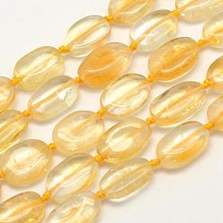 Citrine Natural Citrine Beads Strands, Oval, 12~16x8~10x4~5mm, Hole: 1mm, about 26pcs/strand, 15.7 inch(39.9cm)