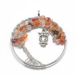 Carnelian Natural Chip Carnelian Big Pendants, with Brass Wires and Alloy Owl, Tree, Platinum, 54~57x48~50x5~9mm, Hole: 4.5mm