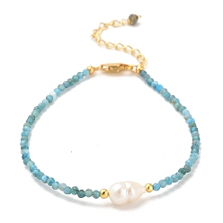 Apatite Natural Apatite Bead Bracelets, with Sterling Silver Beads and Pearl Beads, Real 18K Gold Plated, 16.8~17cm