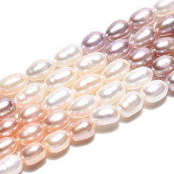 Mixed Color Three Color Natural Cultured Freshwater Pearl Beads Strands, Rice, Mixed Color, 4.5~8.5x3.5~4.5mm, Hole: 0.5mm, about 58~71pcs/strand, 14.96~15.16 inch(38~38.5cm)