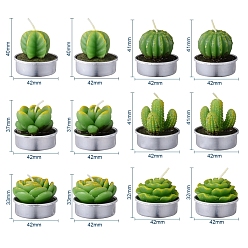 Green Cactus Paraffin Smokeless Candles, Artificial Succulents Decorative Candles, with Aluminium Containers, for Home Decoration, Green, 15.6x10.3x10.3cm, 12pcs/set