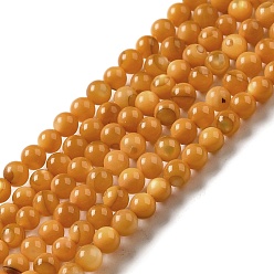 Goldenrod Natural Freshwater Shell Beads Strands, Round, Dyed, Goldenrod, 3mm, Hole: 0.5mm, about 124~132pcs/strand, 14.96''(38cm)