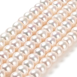 Linen Natural Cultured Freshwater Pearl Beads Strands, Grade 4A++, Rondelle, Linen, 8~9x6~7mm, Hole: 1mm, about 55pcs/strand, 15.75''(40cm)