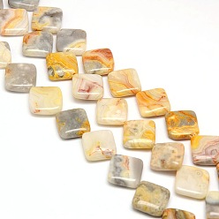 Crazy Agate Natural Rhombus Crazy Agate Beads Strands, 18~19x18~19x6mm, Hole: 1mm, about 22pcs/strand, 15.74 inch