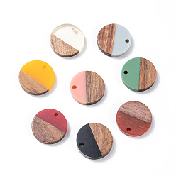 Mixed Color Resin & Wood Pendants, Flat Round, Mixed Color, 18x3.5mm, Hole: 1.5mm