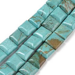 Medium Turquoise Natural Magnesite Beads Strands, Dyed, Flat Slice Square Beads, Medium Turquoise, 9.5~10x9.5~10mm, Hole: 1mm, about 15pcs/strand, 5.9 inch