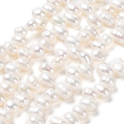 Seashell Color Natural Cultured Freshwater Pearl Beads Strands, Grade 5A, Rice, Seashell Color, 7~8x4~5mm, Hole: 0.5mm, about 70pcs/strand, 13.66''(34.7cm)