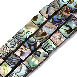 Разноцветный Природные пауа стеклянные бусы нити, квадратный, красочный, 8x8x3.5 мм, отверстие : 1 мм, около 50 шт / нитка, 15.75 дюйм (40 см)