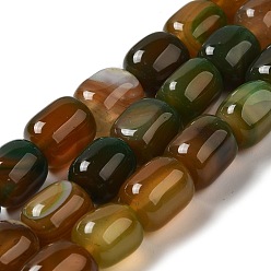 Dark Goldenrod Natural Agate Beads Strands, Dyed & Heated, Column, Dark Goldenrod, 15~16x11.5~13x11~13mm, Hole: 1.6mm, about 12pcs/strand, 7.17~7.28''(18.2~18.5cm)